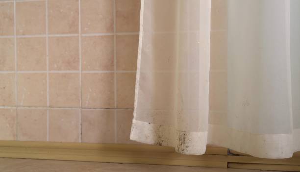 Best Indoor Air Quality Assessment  in Big Pine Key, FL