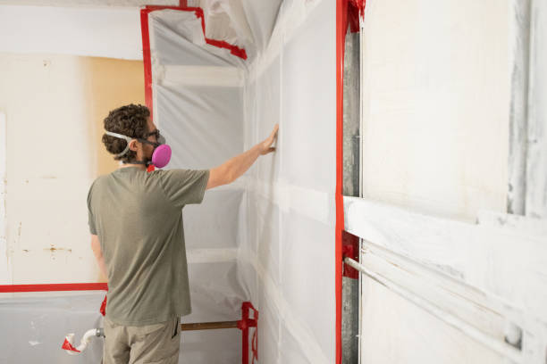 Best Mold Damage Restoration  in Big Pine Key, FL