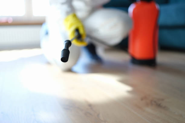 Best Asbestos and Lead Testing During Mold Inspection  in Big Pine Key, FL